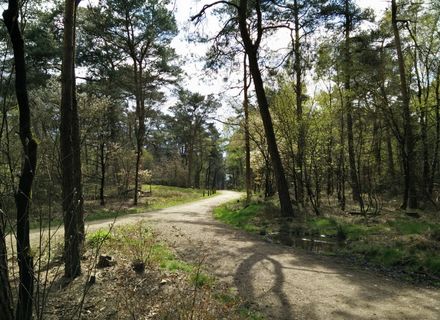 Wafelijzer