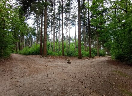 Wageningse Berg