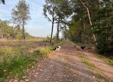Wandelroute buitengebied Haaksbergen