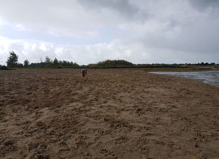 Waterrijk