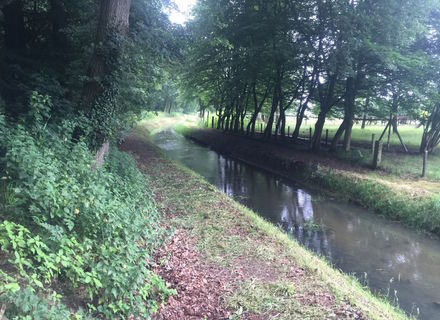 Wechelerveld