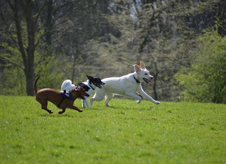 Weteringpark