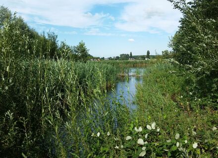 Wevershoek