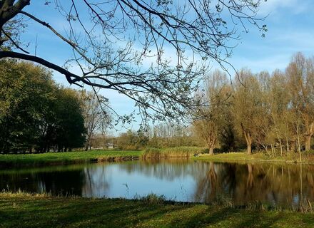 Wijkeroogpark