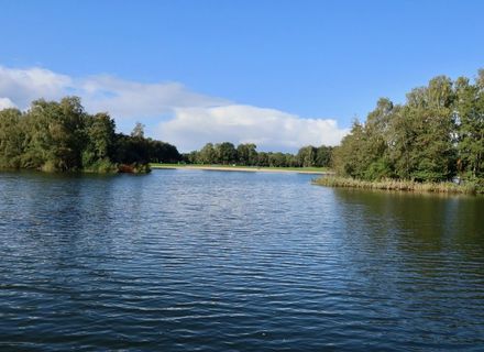 Wythmenerplas