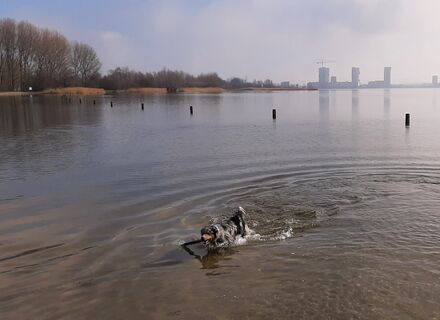 Zevenhuizerplas